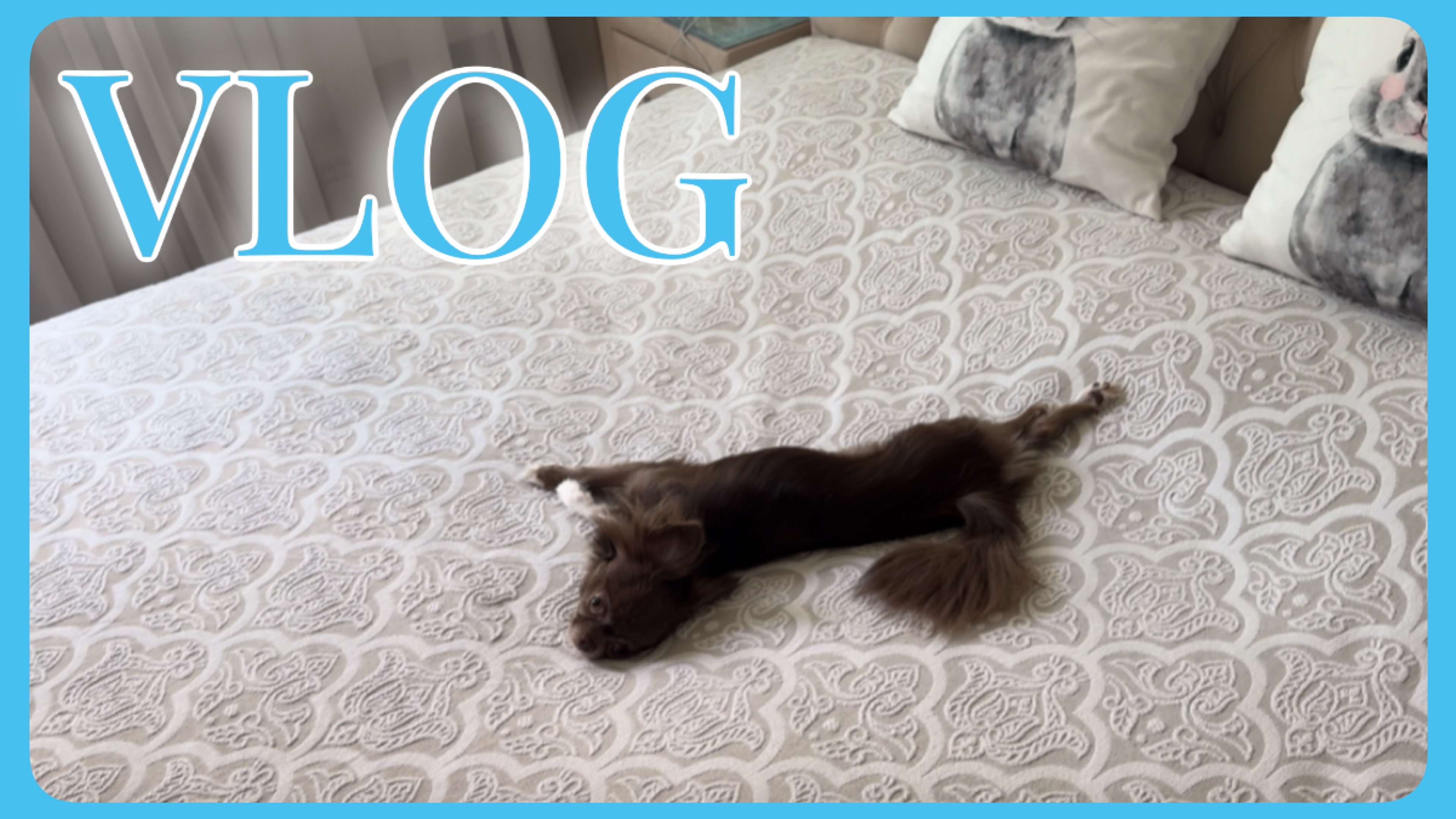 VLOG 15.06.2025 Ну не для этого мы это делаем! смотреть онлайн