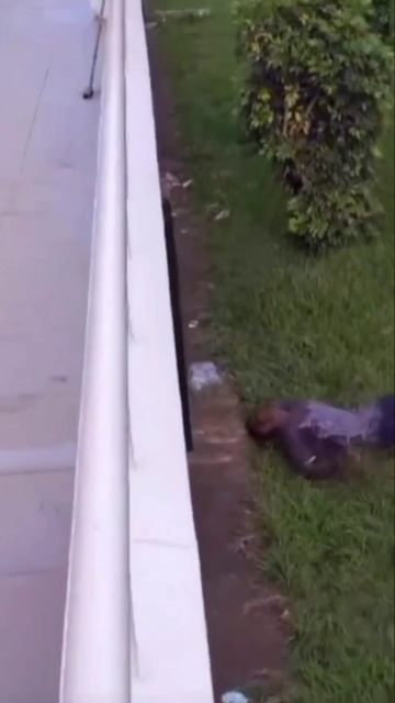 спокойной ночи.mp4