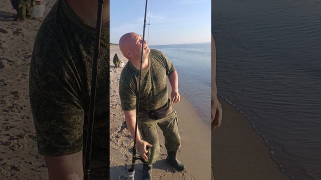 вечерний звон калкана смотреть онлайн