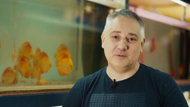 Дискусы Сергей Шилов смотреть онлайн