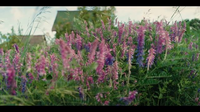 Приволье. 1 июня 2025 смотреть онлайн