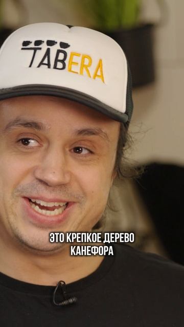 ЛЕГЕНДАРНАЯ ИСТОРИЯ ПОЯВЛЕНИЯ АРАБИКИ | ЧТО ТАКОЕ АРАБИКА? смотреть онлайн