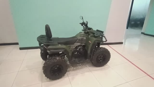 Квадроцикл Bison ATV 250F смотреть онлайн