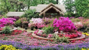 Лучшие сады и цветы в мире, экскурсия по саду острова Макинак