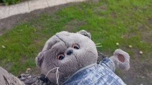 ДЕНЬ С КОТАМИ БАСИКАМИ