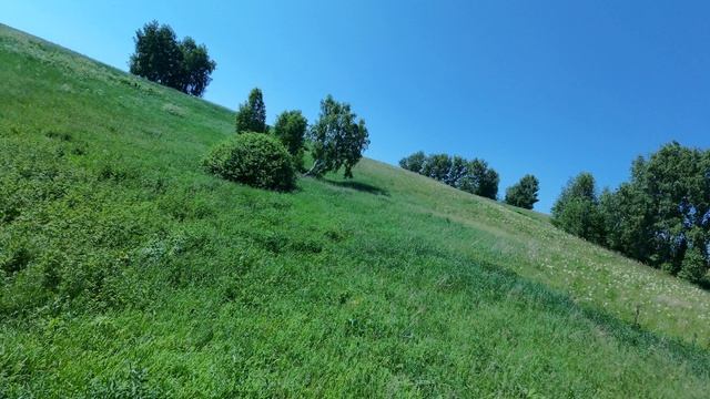 Пикник на озере 1