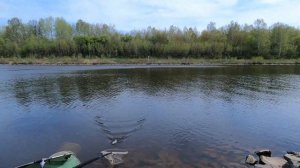 болонская ловля  ловля леща  оснастка буксирчик болонка 7 метров