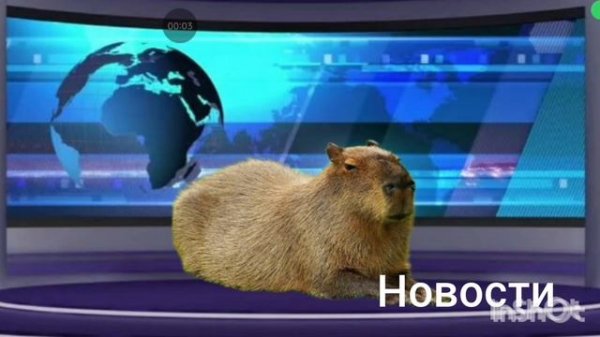 новости от Тимура #1