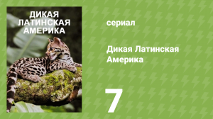 Дикая Латинская Америка 7 серия «Дождевой лес» (документальный сериал, 2020)
