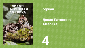 Дикая Латинская Америка 4 серия «Амазонка» (документальный сериал, 2020)