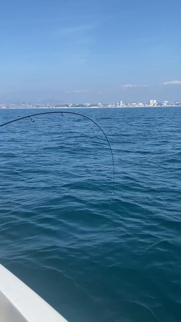 Ловим мерланга в Адлере. смотреть онлайн