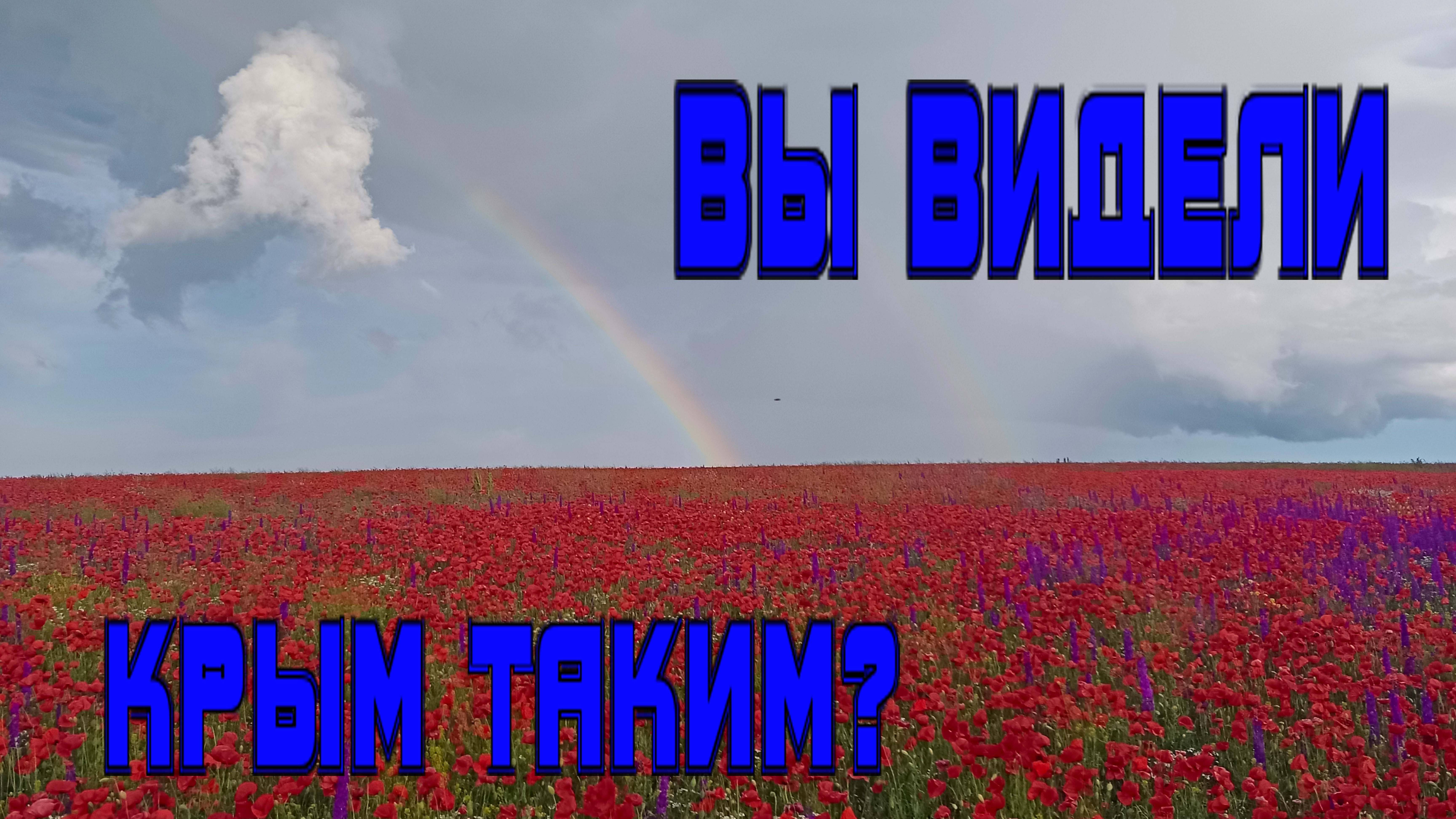 Где маки в Крыму?почти везде,маковые поля! Море маков! смотреть онлайн