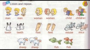 Spotlight. Английский язык. 3 класс. Часть 9b. Стр. 76. Упражнение 2