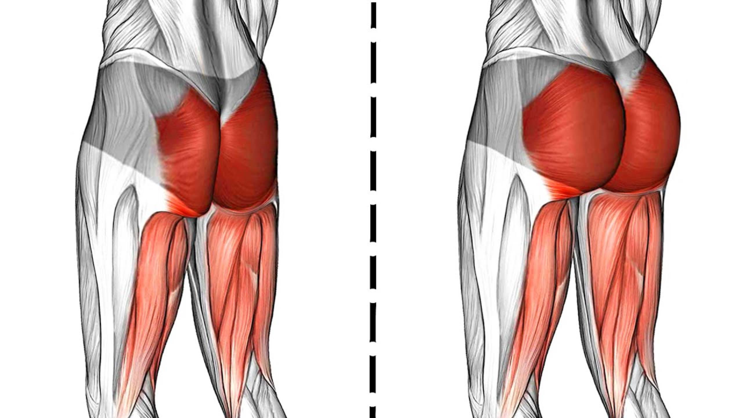 Преобразите свои Ягодицы с помощью этих 9 способов увеличения Попки смотреть онлайн