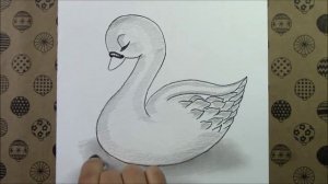 Как нарисовать милую утку карандашом