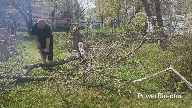 🏡Домашний влог. Работа кипит. Выкарчевали сад. смотреть онлайн