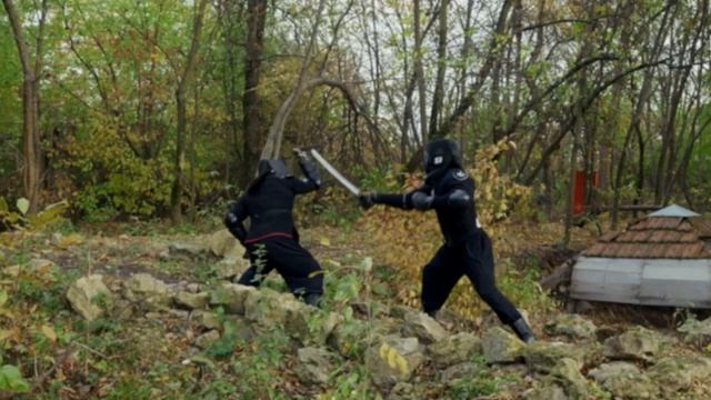 Клип фехтование