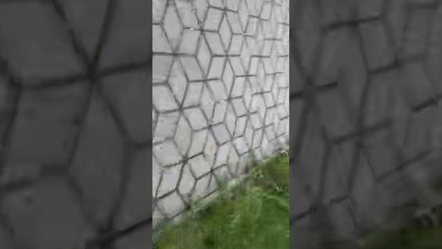 Парк за 60 секунд: День vs Ночь смотреть онлайн