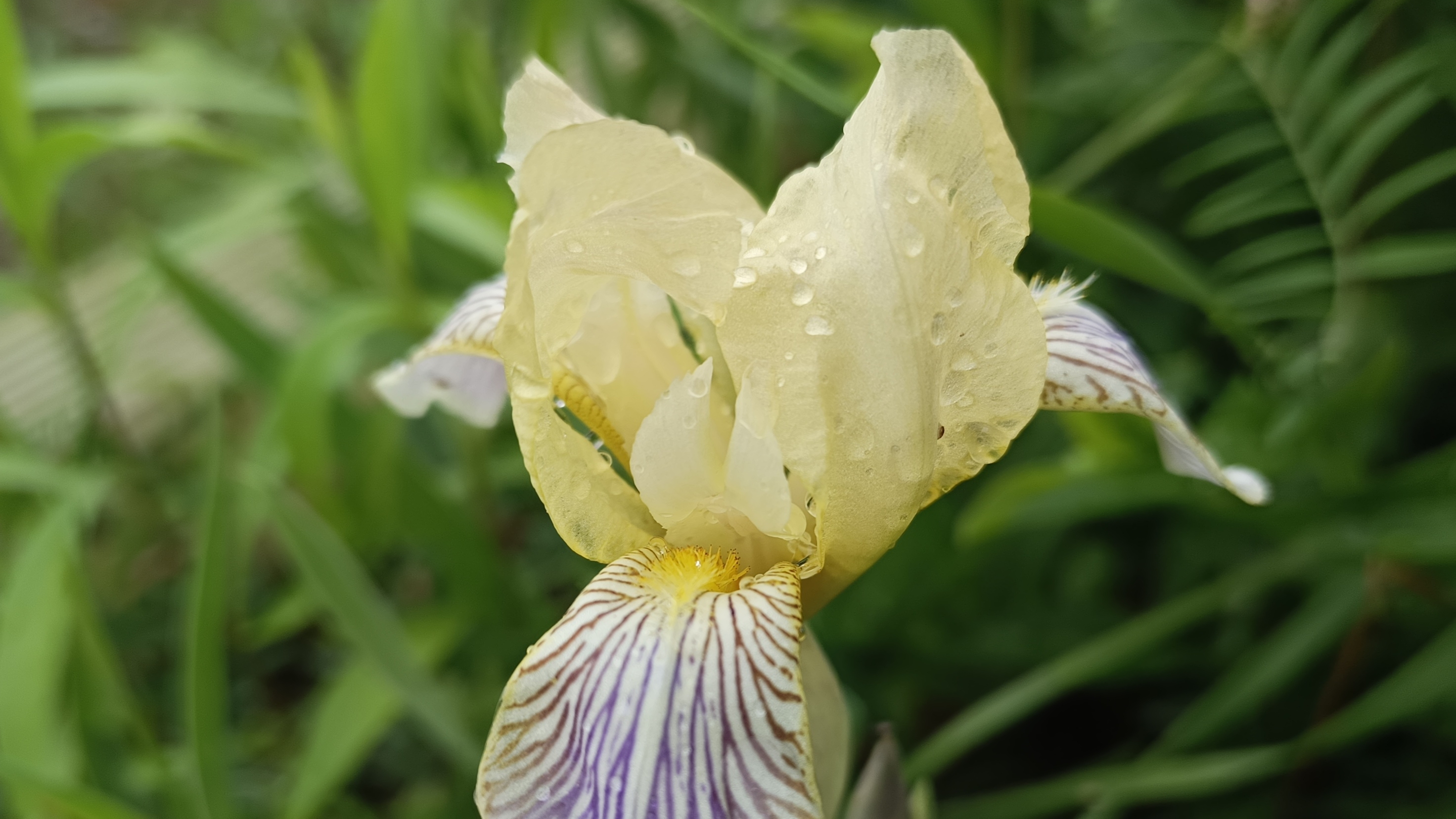 15-06-2025💥Влог💥воскресенье смотреть онлайн