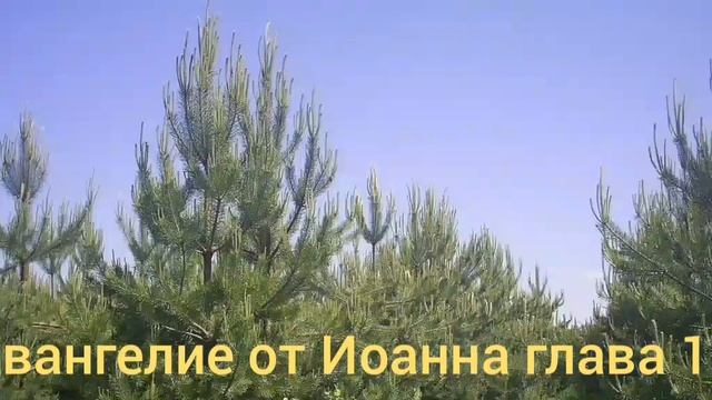 Библия Евангелие от Иоанна глава 11 смотреть онлайн