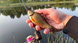 Карасинг на мормышинг