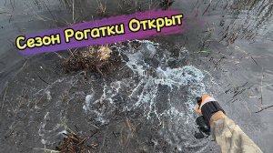 Рыбалка на Рогатку - Slingshot Fishing #охотасрогаткой #2025 #top #headshot #змееголов#рекомендации