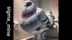 сигма голубь на туалете под песню сигма сигма бой