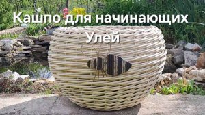 Кашпо из ротанга для начинающих УЛЕЙ
