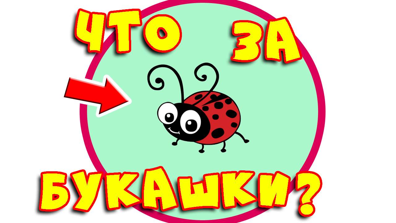 Букашки приключения в долине кабачков. Докембрий мезозойской эры в моем саду! Что это?