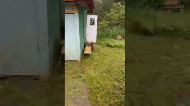 Дача 6 соток Тверь, кулицкая