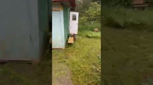 Дача 6 соток
Тверь, кулицкая