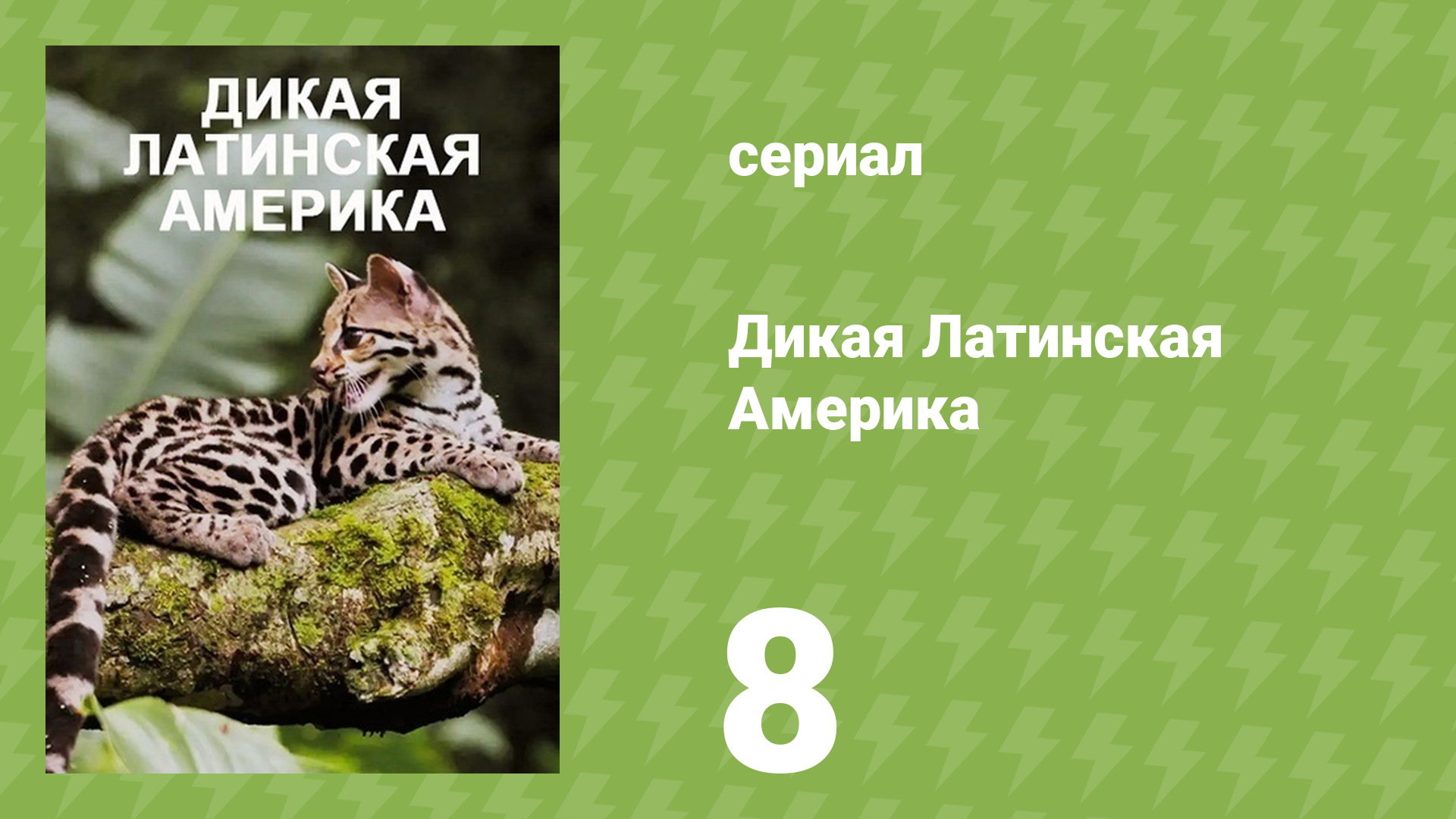 Дикая Латинская Америка 8 серия «Анды» (документальный сериал, 2020) смотреть онлайн