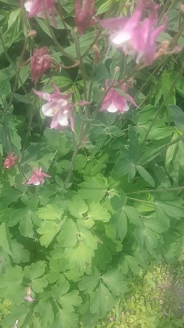 20250615_114507.mp4 смотреть онлайн