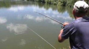 Рыбалка на карпа. Ловля карпа на поплавочную удочку. My fishing