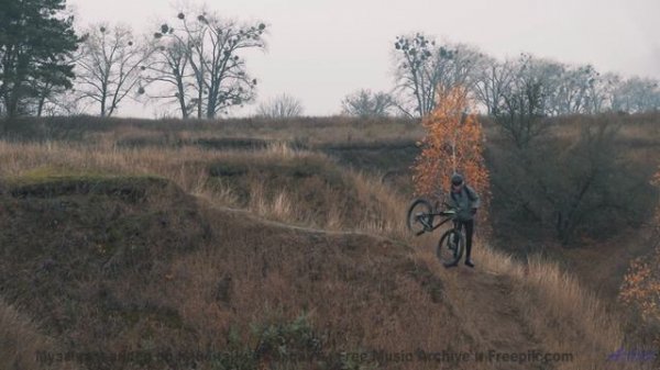 Тишина леса + эта мелодия = мгновенный релакс! - Makes-Shift Salvation -- HoliznaCC0 -- Makeshift Sa