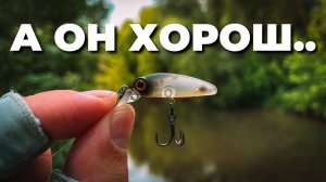 Ставлю ЭТОТ ВОБЛЕР И КЛЮЁТ! ЛОВЛЯ ГОЛАВЛЯ в июне. Рыбалка с Narval Fishing Micro-N Travel 634UL-T
