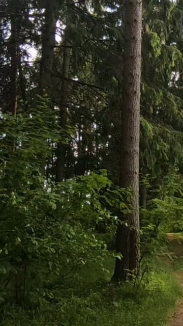 18) Евангелие от Иоанна глава 5 стих 24-35 смотреть онлайн