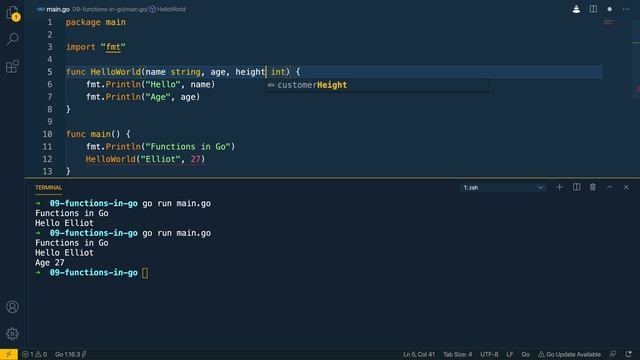 10 - Functions in Go смотреть онлайн