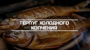 Терпуг холодного копчения.