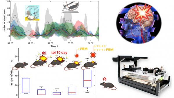 Detection of the first changes in the dynamics of metabolic characteristics