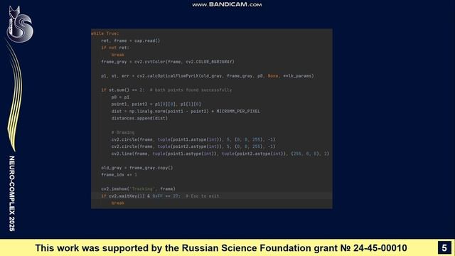 Software For Automated Assessment Of Erythrocyte Movement In The Lymphatic Vessels In Mice ...