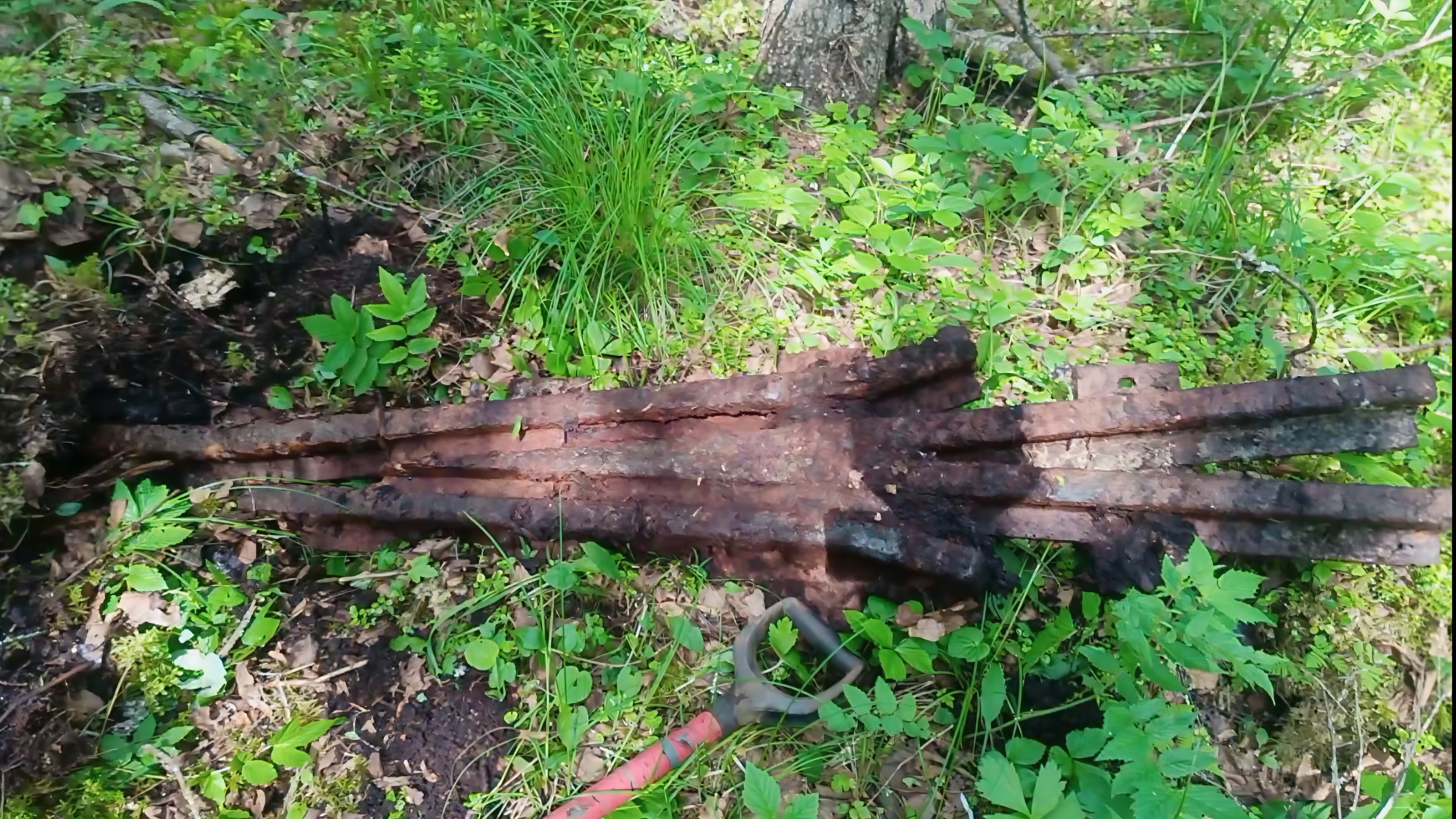 Ищу продолжение старого уса. Погода портит выезд (((