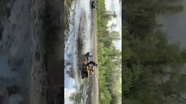 линхай 650 и гепард 850 резвились в луже😁 смотреть онлайн