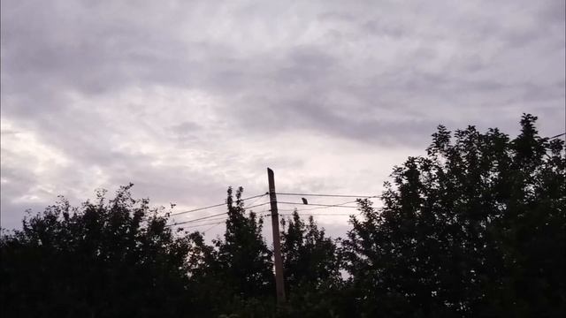 Coвы смотреть онлайн
