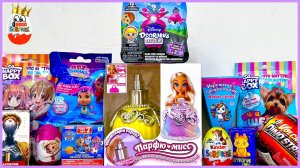 СЮРПРИЗ MIX! DISNEY DOORABLES Let's GO! Щенячий Патруль, CRY Babies, Dino Strike, Парфюмисс, Аниме