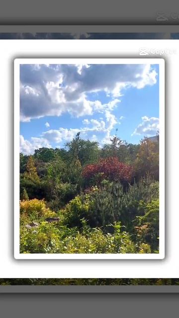 Ботанический сад, Самара