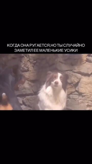 Лучше ей об этом не говорить смотреть онлайн