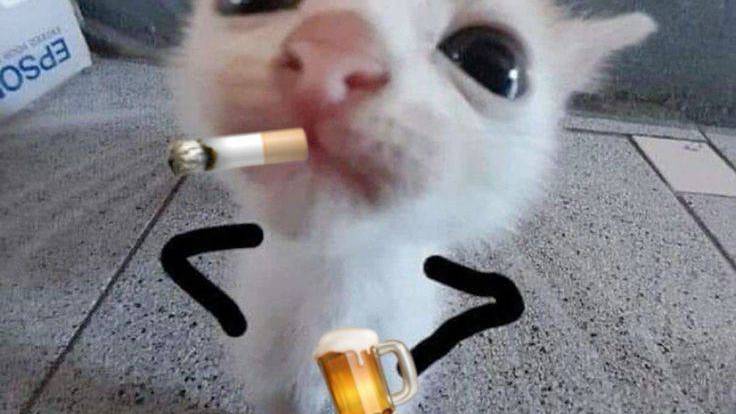 продажа виртов