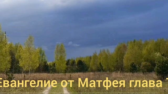 Библия Евангелие от Иоанна глава 7 смотреть онлайн