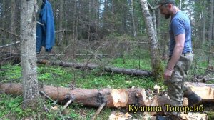 шведы часть 2